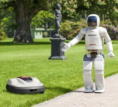 Robots Asimo et Miimo