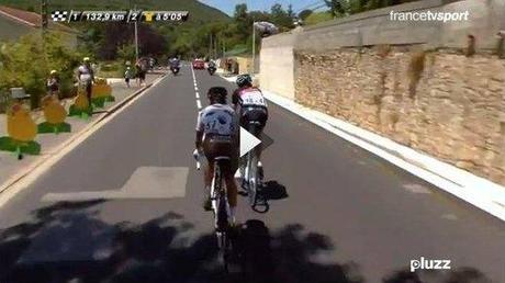 Michel chien fidèle s'invite sur le Tour de France Michel chien fidèle s'invite sur le Tour de France