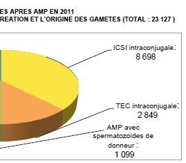 AMP: La France en manque de gamètes  – Agence de la Biomédecine