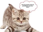 L’intoxication perméthrine chez chat,c’est question vigilance