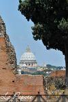 151 - Rome - Palatino - vue sur la basilique San Pietro