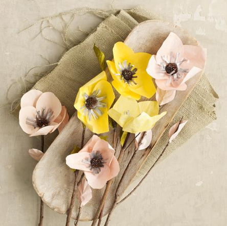 Fleurs en papier west elm