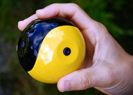 Squito, la balle photo