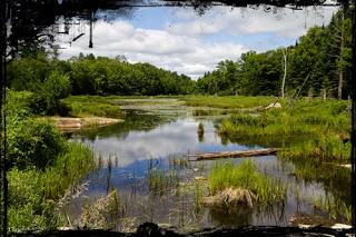 Entre Tremblant et Labelle