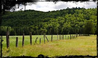 Entre Tremblant et Labelle