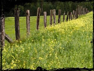 Entre Tremblant et Labelle