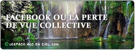 Facebook ou la Perte de Vue Collective