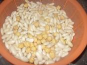 Haricots sauce, merlan frit salade