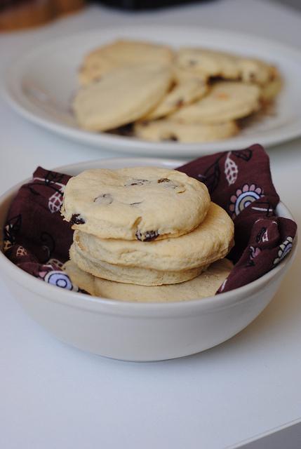 Terre d’arômes bio met de la saveur dans votre cuisine