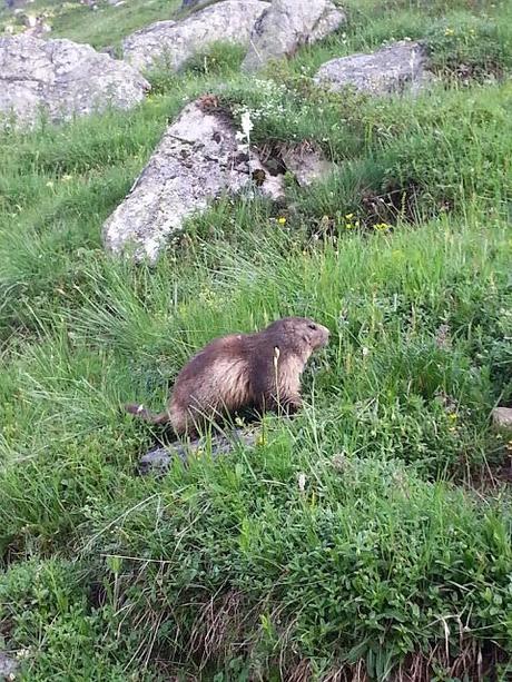 Grand Tour de la Tarentaise.  6e étape. Nous voici à Valmorel.