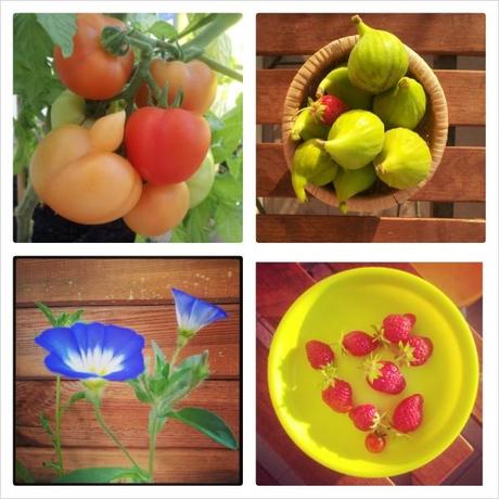 PhotoGrid_1373780270767