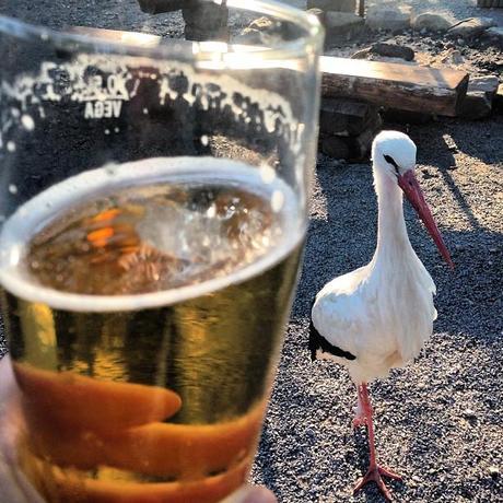 Ma semaine en mots et photos instagram (87) radler