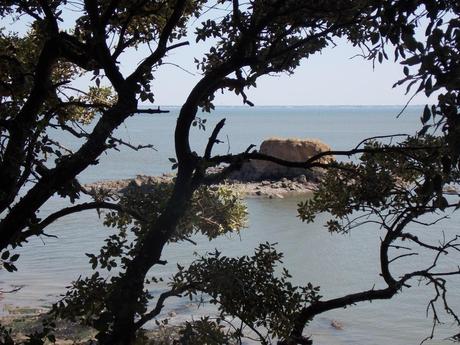 rencontre avec marguerite