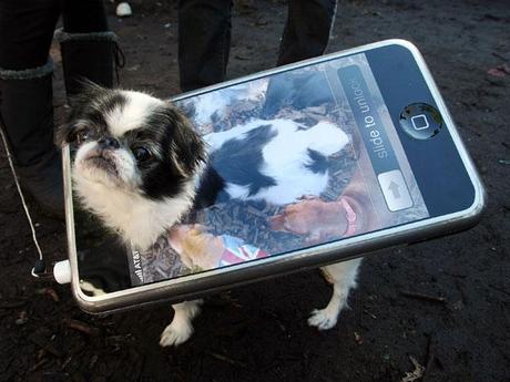 dog-iphone-costume