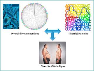 Coopération entre êtres humains