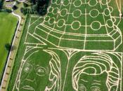 Doctor Who: ouverture d’un labyrinthe géant dans champ maïs