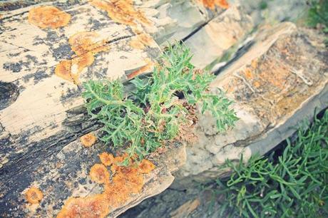 AZTEC WIND AZTEC WIND