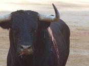 prix decernes pour pampelune