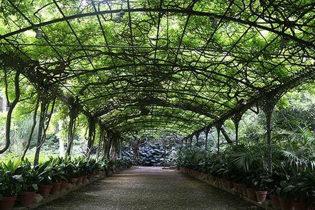 jardin-botanique-malaga