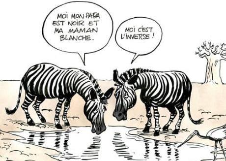 zebre-racisme.jpg