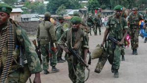 Armée congolaise à Goma