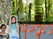 Destination tropique