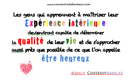 Mihaly Csiksentmihalyi dans CITATIONS & CO capture-decran-2013-07-16-a-14.35.02