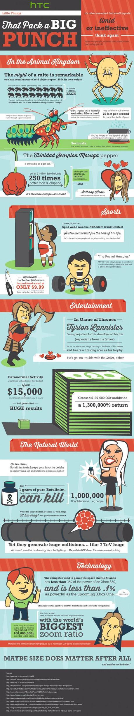 Little-Things-That-Pack-a-Puncha