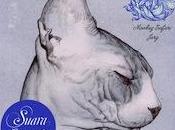 C’est l’été Suara Recordings comme d’habitude fête chose belle sortie sur...