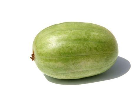 Cucumber-Cetriolo Melone Carosello Tondo Di Manduria