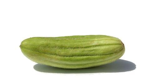 Cucumber Cetriolo Melone Carosello Medio Lungo Pugliese