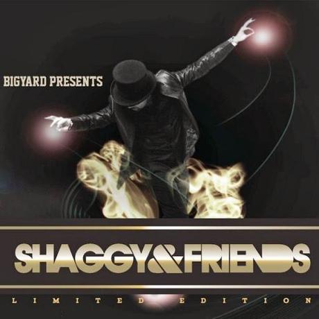 Live Shaggy & Friends Edition 2013 ! 
