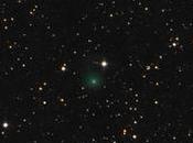 comète Borisov découverte amateur