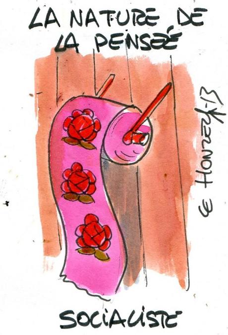 La vraie nature de la pensée socialiste ?