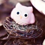 Les 2 ans de Liloute – Inspirations Sweet table