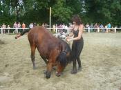 Quand chevaux font leur cinéma