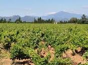 Billet part dans tous sens...