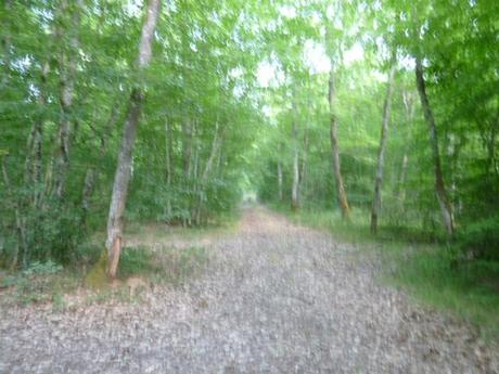 Entre sources et plateaux :