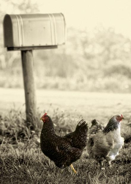 Départ en vacances : Conseils pour prévenir les cambriolages ! | www.decocrush.fr