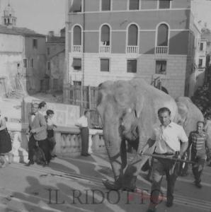 Le Circo Togni à Venezia, le 19 juillet 1954