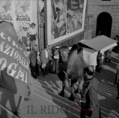 Le Circo Togni à Venezia, le 19 juillet 1954