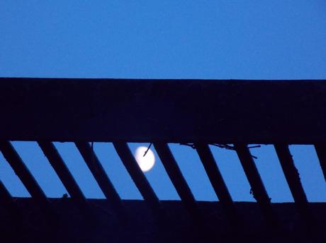 conseil d'arrière plage...