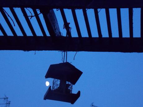 conseil d'arrière plage...