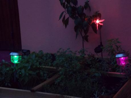 conseil d'arrière plage...