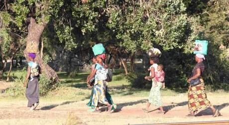 DU 13 AU 15 MAI 13 VICTORIA FALLS (9)