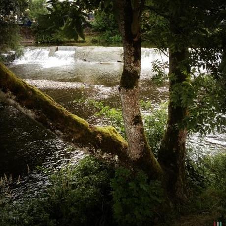 Shakespeare, j'expire!