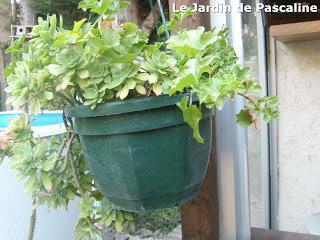 Suspension moche...très moche !