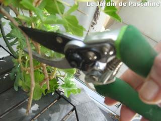 Suspension moche...très moche !