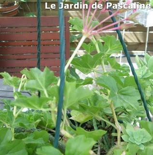 Suspension moche...très moche !