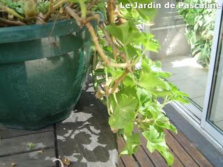 Suspension moche...très moche !